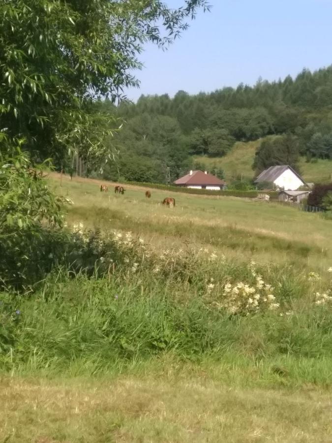 Altana Caloroczna Vira Numer 7 Herbergerowka Agroturystyka Na Wsi Duszniki Zdroj Bagian luar foto