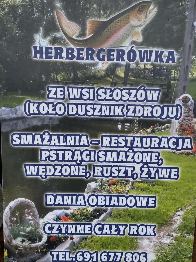 Altana Caloroczna Vira Numer 7 Herbergerowka Agroturystyka Na Wsi Duszniki Zdroj Bagian luar foto